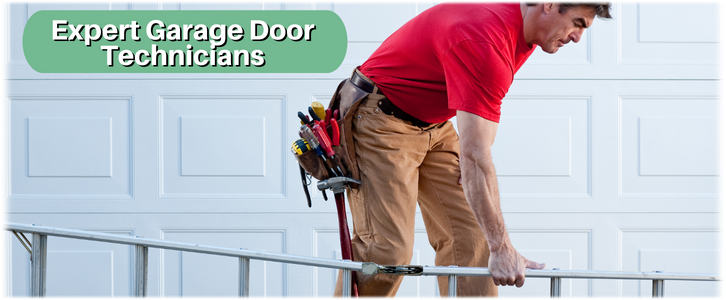 Garage Door Maintenance Arlington, TX